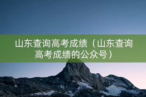 山东查询高考成绩（山东查询高考成绩的公众号）