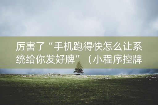 厉害了“手机跑得快怎么让系统给你发好牌”（小程序控牌器)