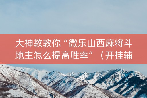 大神教教你“微乐山西麻将斗地主怎么提高胜率”（开挂辅助脚本)