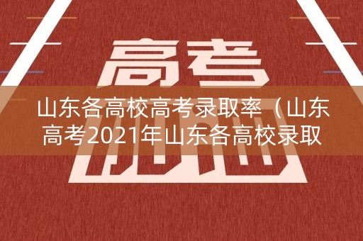 山东各高校高考录取率（山东高考2021年山东各高校录取分）