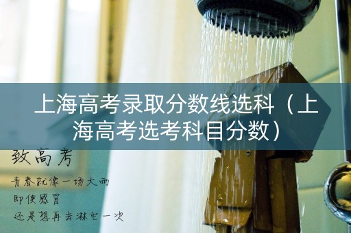 上海高考录取分数线选科（上海高考选考科目分数）