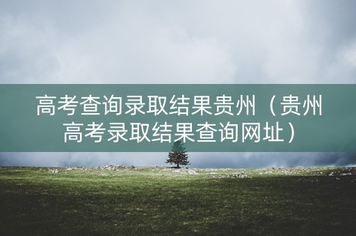 高考查询录取结果贵州（贵州高考录取结果查询网址）