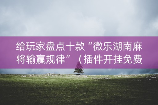 给玩家盘点十款“微乐湖南麻将输赢规律”（插件开挂免费AI)