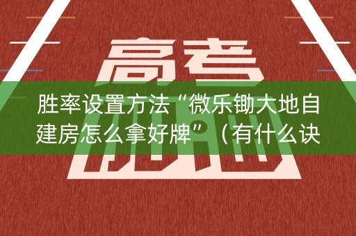 胜率设置方法“微乐锄大地自建房怎么拿好牌”（有什么诀窍)