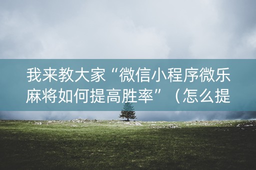 我来教大家“微信小程序微乐麻将如何提高胜率”（怎么提高胜率)