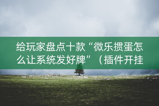 给玩家盘点十款“微乐掼蛋怎么让系统发好牌”（插件开挂免费AI)