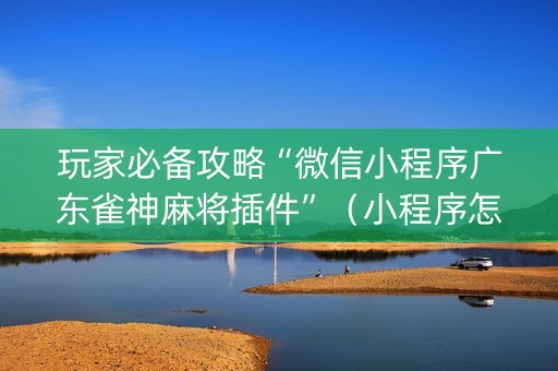 玩家必备攻略“微信小程序广东雀神麻将插件”（小程序怎么才会赢)
