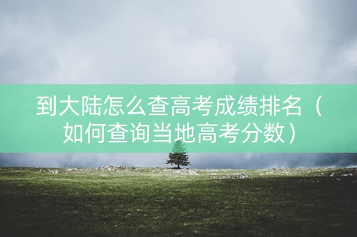 到大陆怎么查高考成绩排名（如何查询当地高考分数）