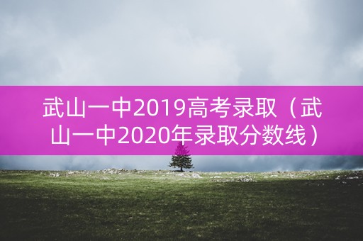 武山一中2019高考录取（武山一中2020年录取分数线）
