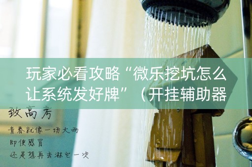 玩家必看攻略“微乐挖坑怎么让系统发好牌”（开挂辅助器插件)