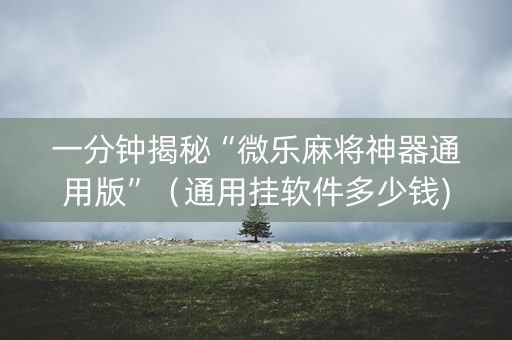 一分钟揭秘“微乐麻将神器通用版”（通用挂软件多少钱)