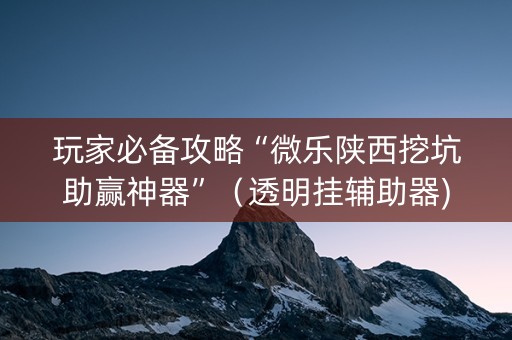 玩家必备攻略“微乐陕西挖坑助赢神器”（透明挂辅助器)