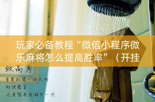玩家必备教程“微信小程序微乐麻将怎么提高胜率”（开挂辅助器插件)