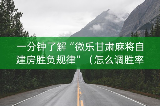 一分钟了解“微乐甘肃麻将自建房胜负规律”（怎么调胜率)