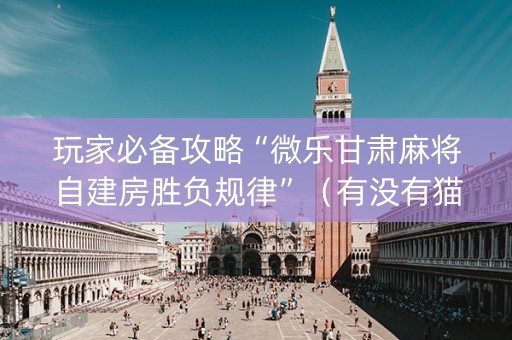 玩家必备攻略“微乐甘肃麻将自建房胜负规律”（有没有猫腻)