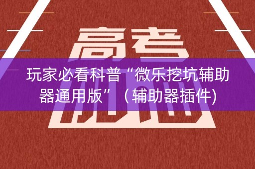 玩家必看科普“微乐挖坑辅助器通用版”（辅助器插件)