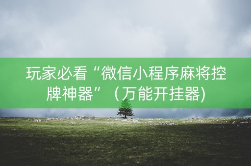 玩家必看“微信小程序麻将控牌神器”（万能开挂器)