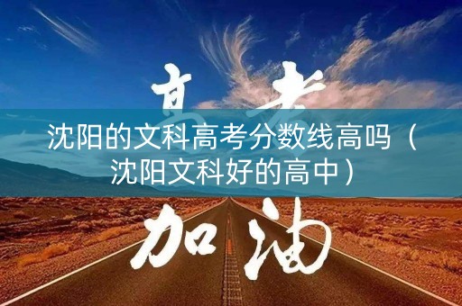 沈阳的文科高考分数线高吗（沈阳文科好的高中）