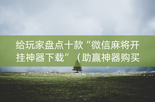 给玩家盘点十款“微信麻将开挂神器下载”（助赢神器购买)