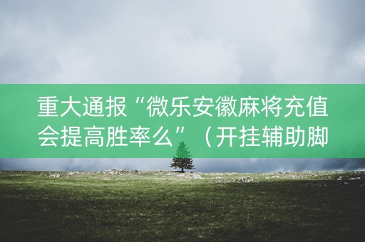 重大通报“微乐安徽麻将充值会提高胜率么”（开挂辅助脚本)