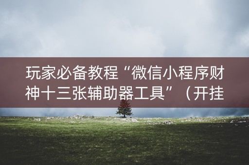 玩家必备教程“微信小程序财神十三张辅助器工具”（开挂辅助器脚本)