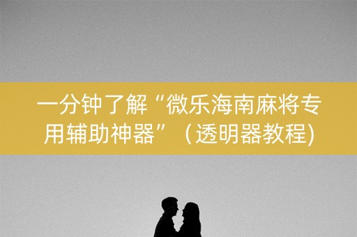 一分钟了解“微乐海南麻将专用辅助神器”（透明器教程)