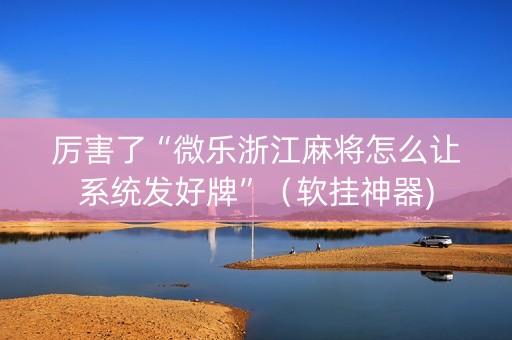 厉害了“微乐浙江麻将怎么让系统发好牌”（软挂神器)