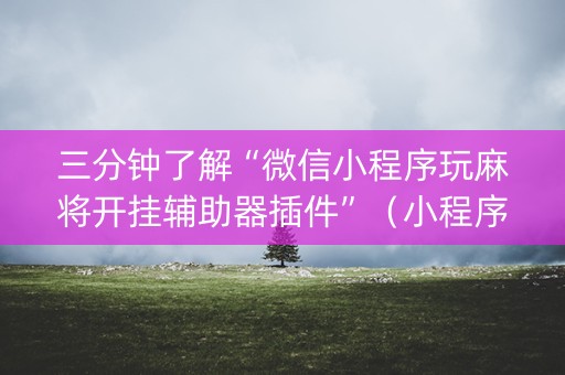 三分钟了解“微信小程序玩麻将开挂辅助器插件”（小程序控牌器)