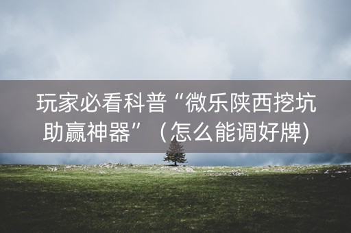玩家必看科普“微乐陕西挖坑助赢神器”（怎么能调好牌)