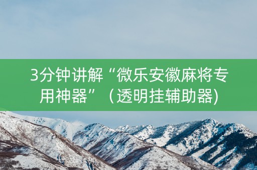 3分钟讲解“微乐安徽麻将专用神器”（透明挂辅助器)