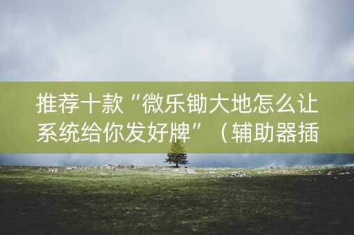 推荐十款“微乐锄大地怎么让系统给你发好牌”（辅助器插件)