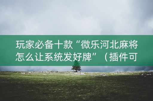 玩家必备十款“微乐河北麻将怎么让系统发好牌”（插件可信吗)