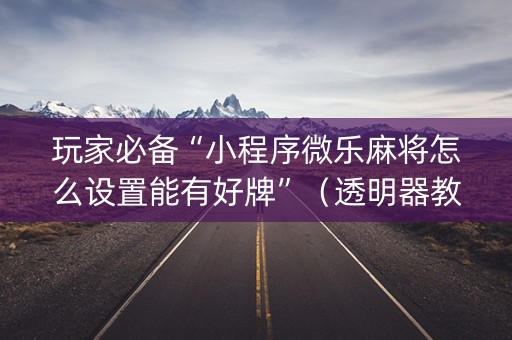 玩家必备“小程序微乐麻将怎么设置能有好牌”（透明器教程)
