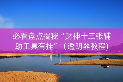 必看盘点揭秘“财神十三张辅助工具有挂”（透明器教程)
