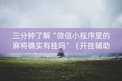 三分钟了解“微信小程序里的麻将确实有挂吗”（开挂辅助器脚本)