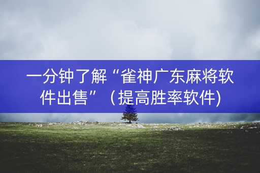 一分钟了解“雀神广东麻将软件出售”（提高胜率软件)