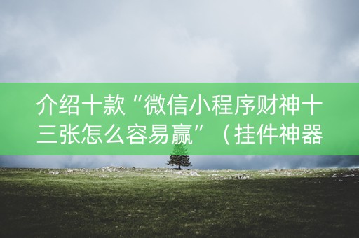 介绍十款“微信小程序财神十三张怎么容易赢”（挂件神器)
