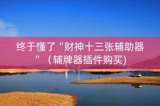 终于懂了“财神十三张辅助器”（辅牌器插件购买)