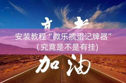 安装教程“微乐掼蛋记牌器”（究竟是不是有挂)