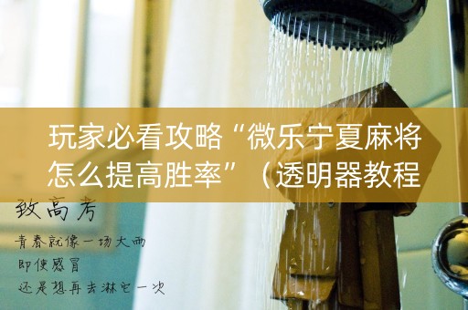 玩家必看攻略“微乐宁夏麻将怎么提高胜率”（透明器教程)