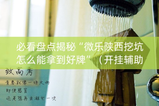 必看盘点揭秘“微乐陕西挖坑怎么能拿到好牌”（开挂辅助插件)