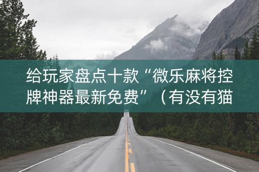 给玩家盘点十款“微乐麻将控牌神器最新免费”（有没有猫腻)
