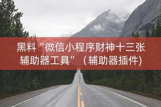 黑料“微信小程序财神十三张辅助器工具”（辅助器插件)