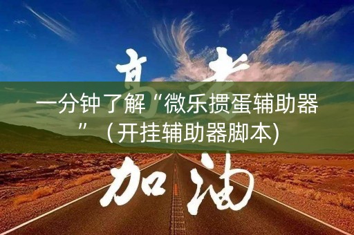 一分钟了解“微乐掼蛋辅助器”（开挂辅助器脚本)