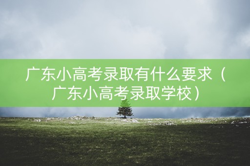 广东小高考录取有什么要求（广东小高考录取学校）