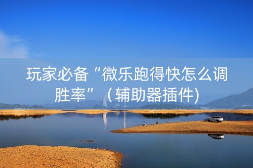 玩家必备“微乐跑得快怎么调胜率”（辅助器插件)