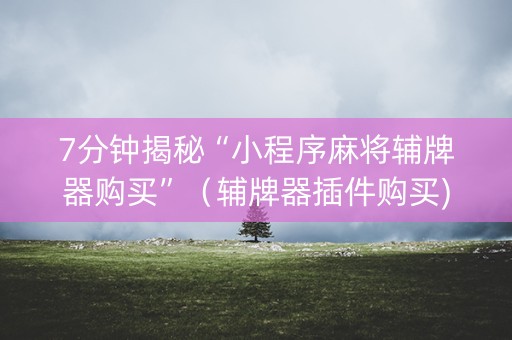7分钟揭秘“小程序麻将辅牌器购买”（辅牌器插件购买)