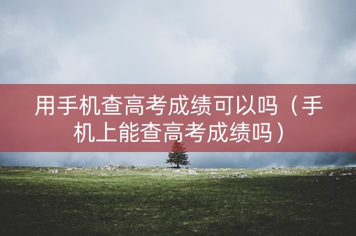 用手机查高考成绩可以吗（手机上能查高考成绩吗）