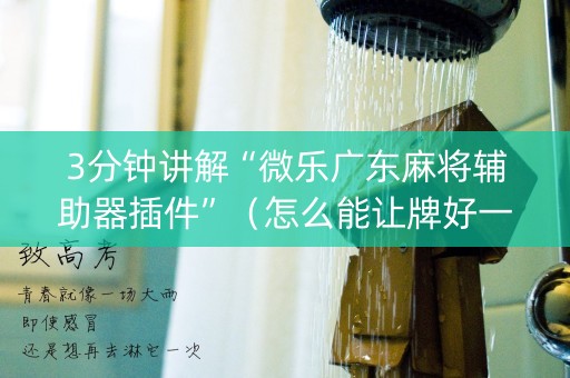 3分钟讲解“微乐广东麻将辅助器插件”（怎么能让牌好一点)