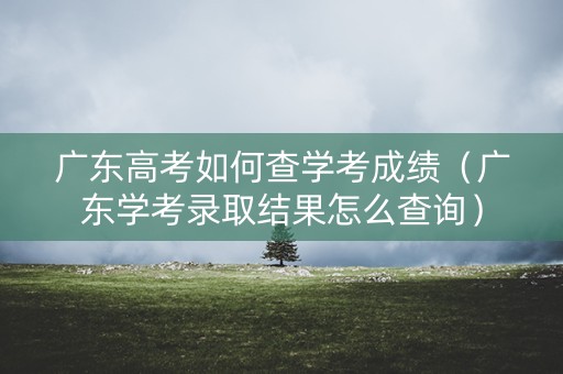 广东高考如何查学考成绩（广东学考录取结果怎么查询）